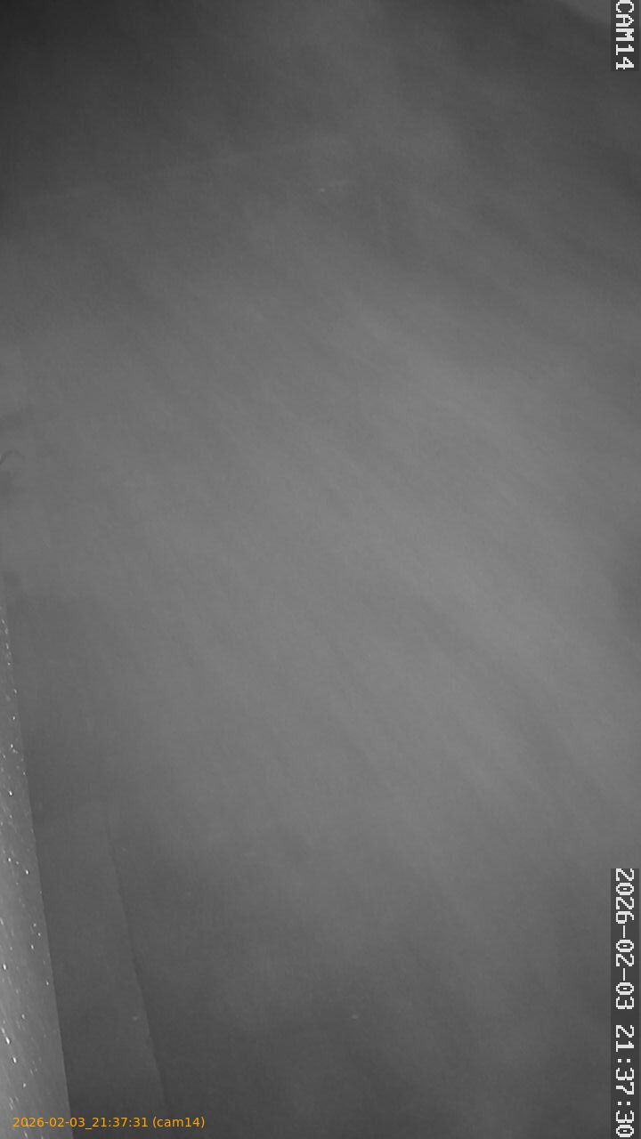 thumbnail_20260203213731