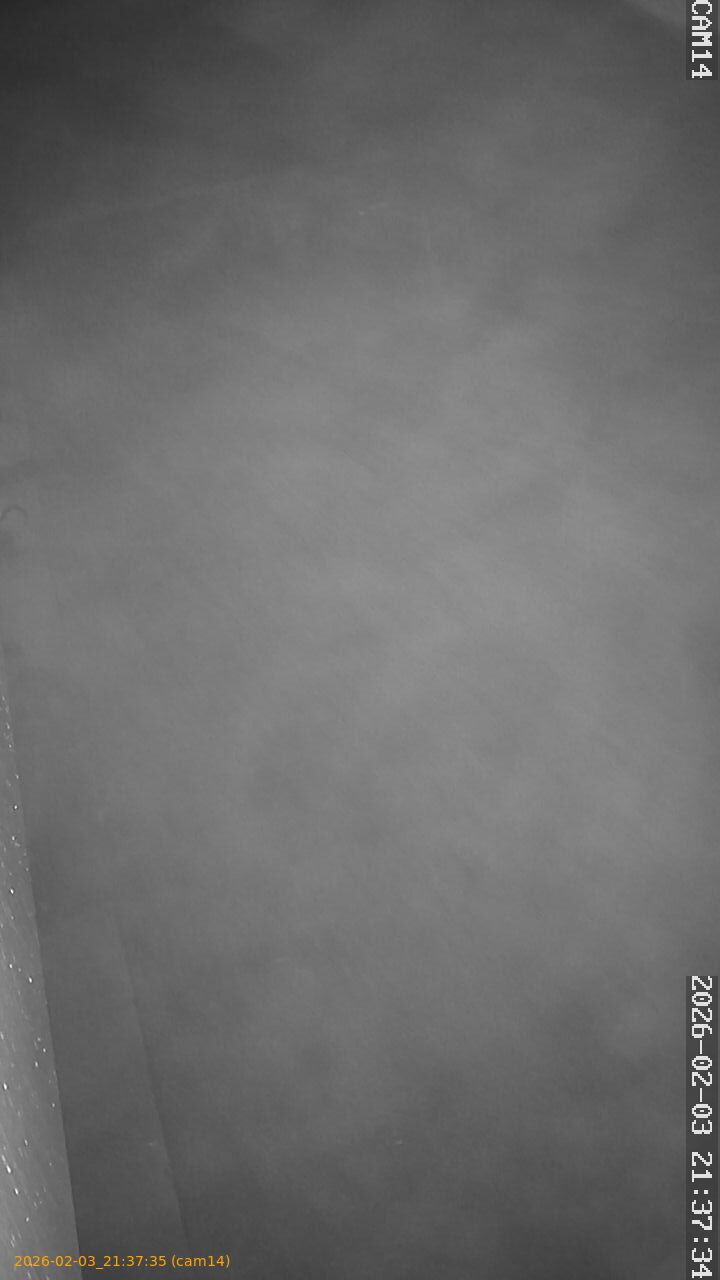 thumbnail_20260203213735