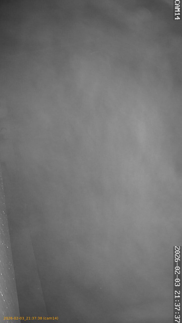 thumbnail_20260203213738