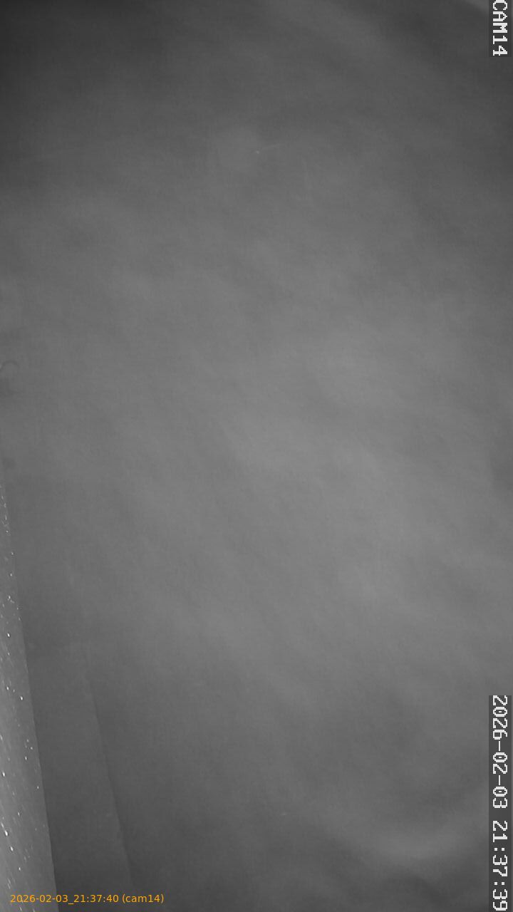 thumbnail_20260203213740