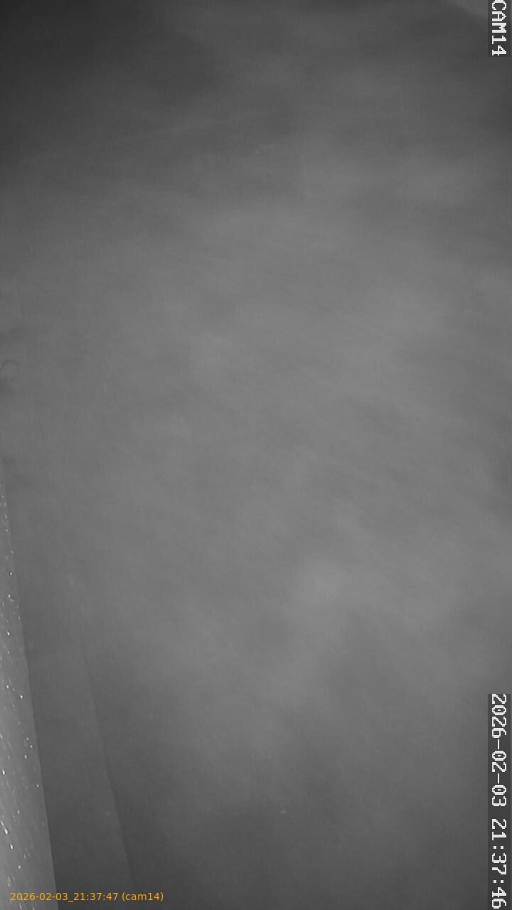 thumbnail_20260203213747