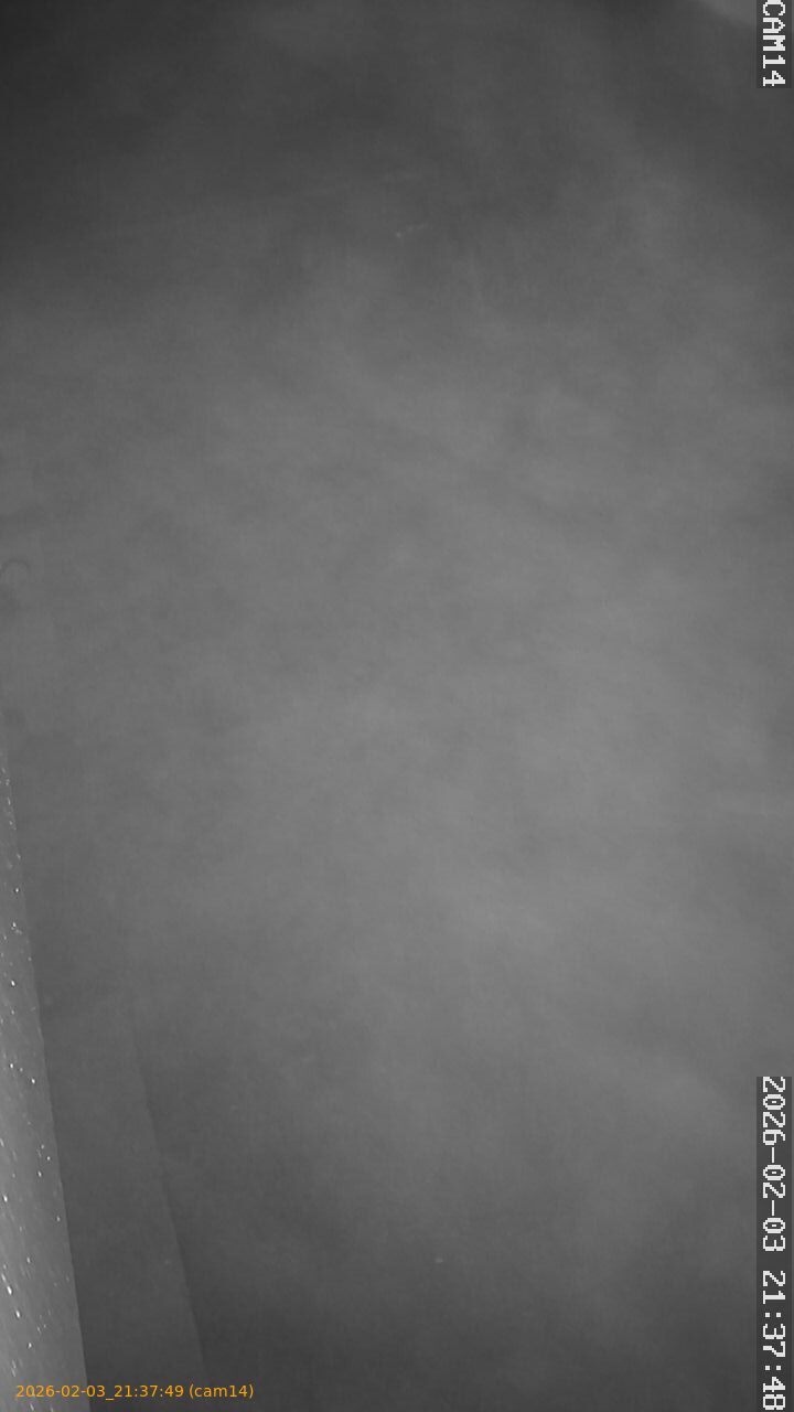 thumbnail_20260203213749