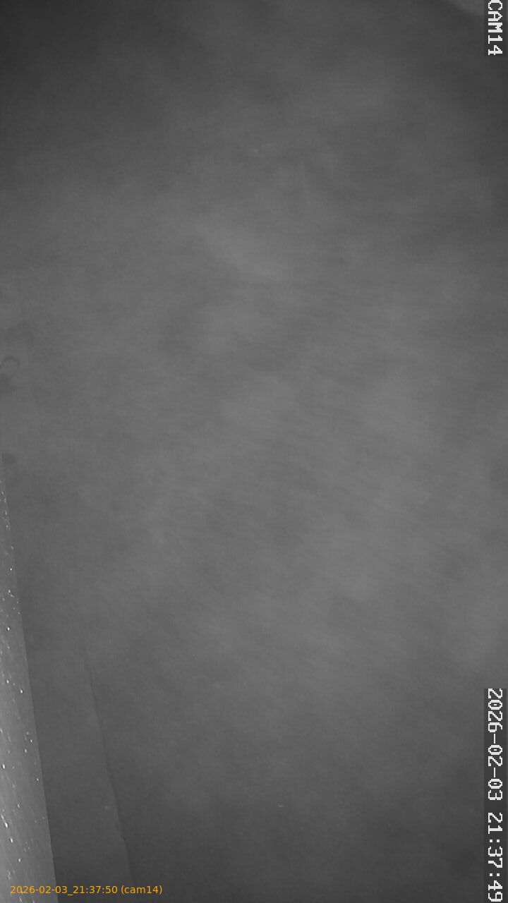 thumbnail_20260203213750