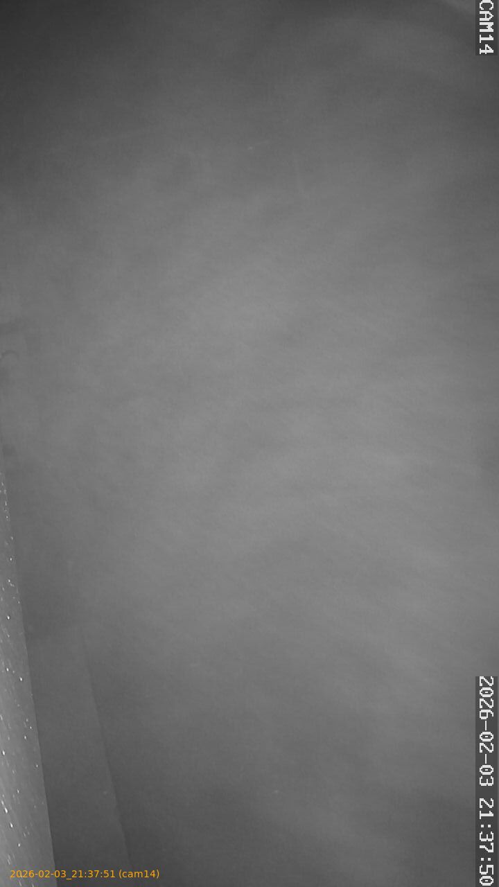 thumbnail_20260203213751