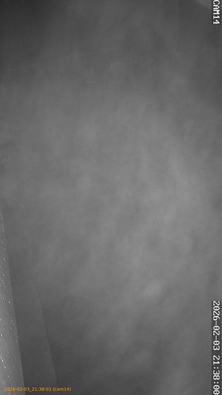 thumbnail_20260203213801