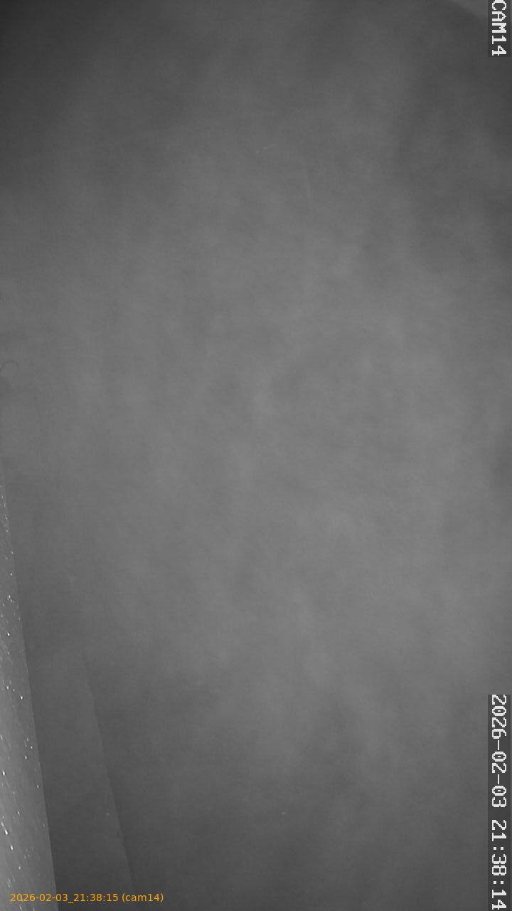 thumbnail_20260203213815