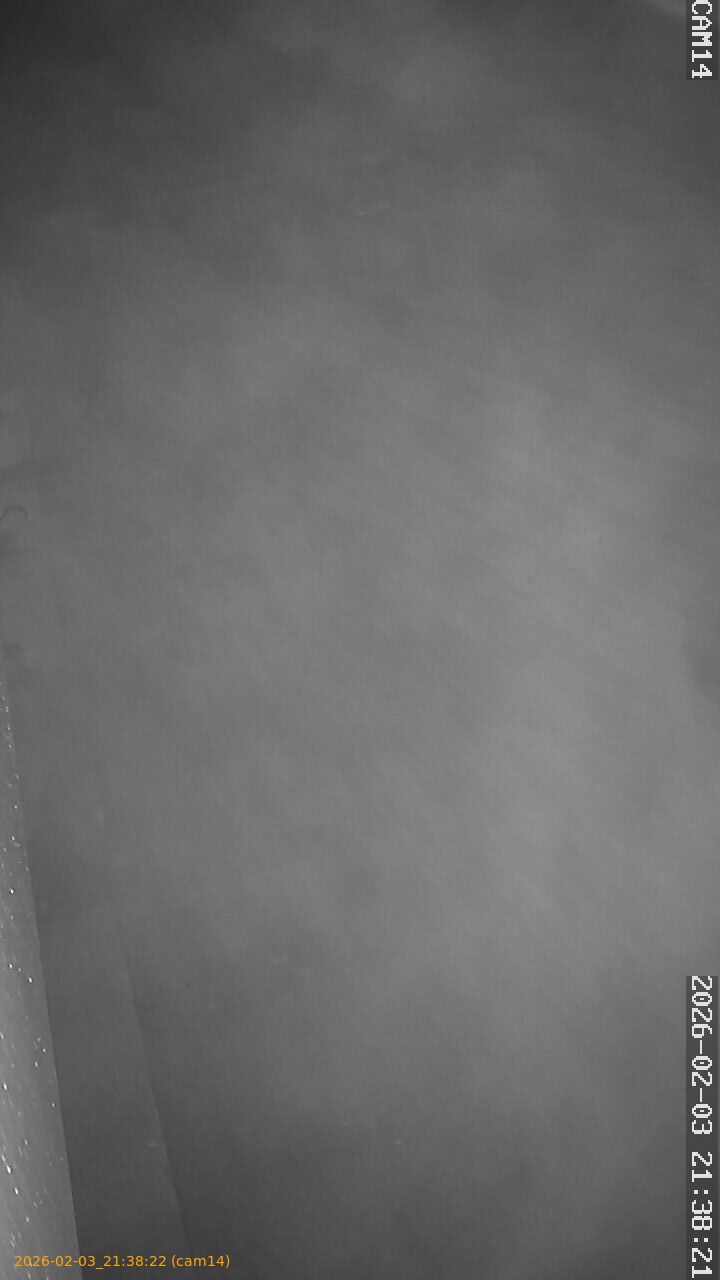 thumbnail_20260203213822