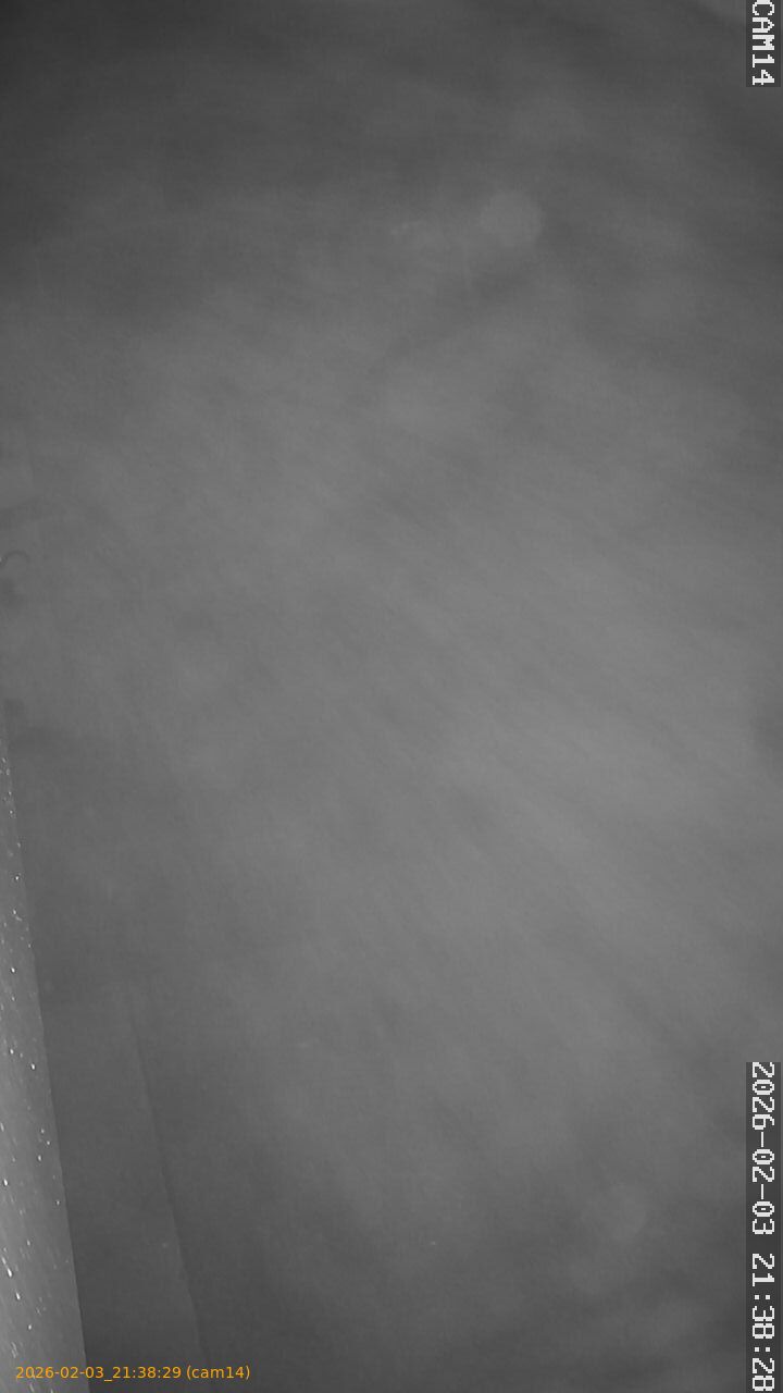 thumbnail_20260203213829