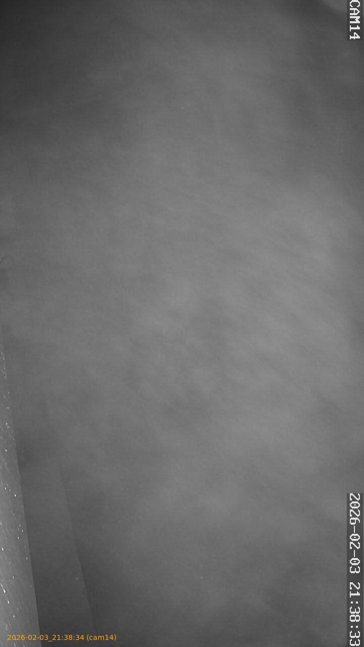 thumbnail_20260203213834