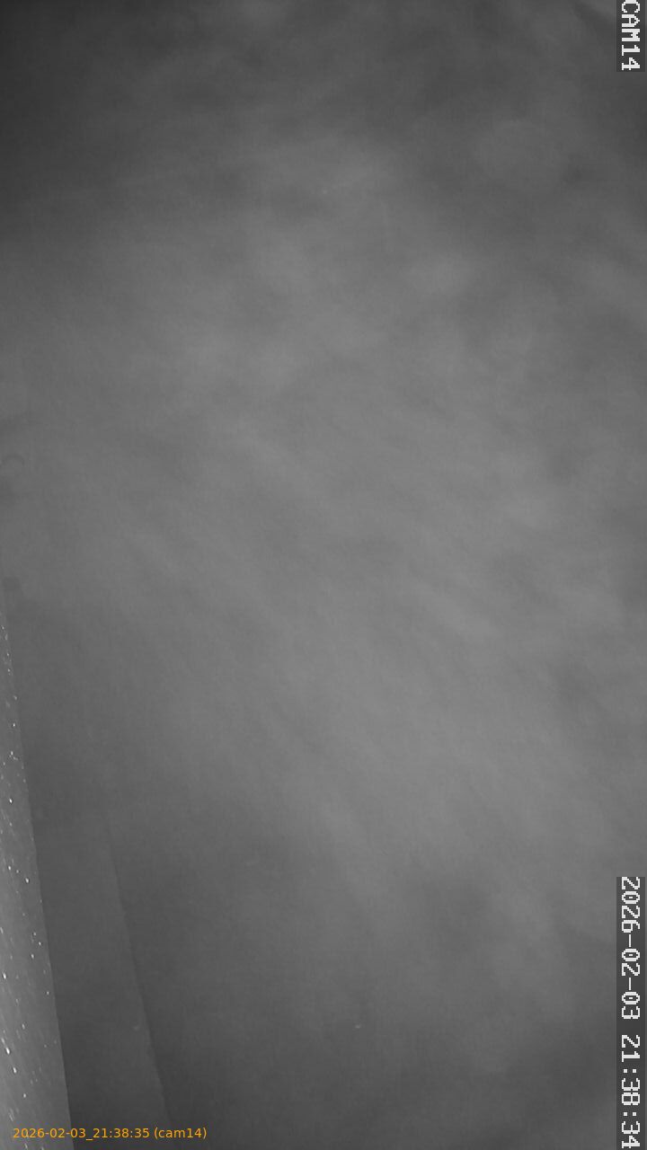 thumbnail_20260203213835