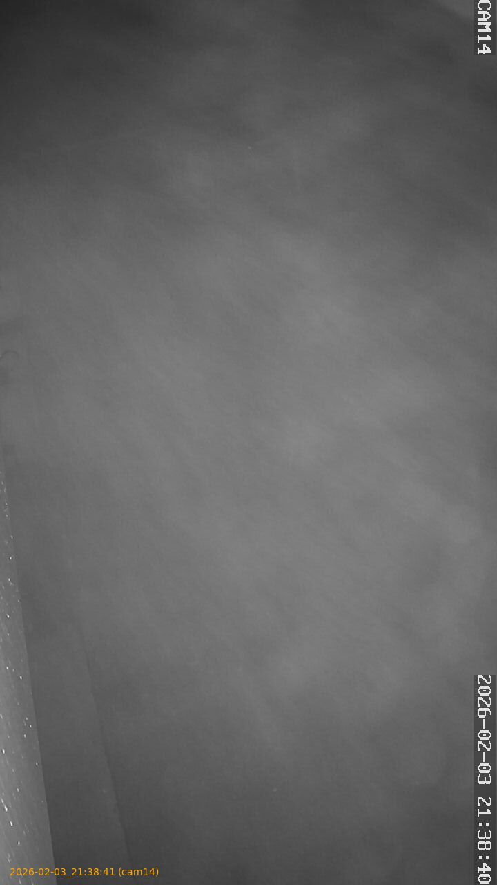 thumbnail_20260203213841