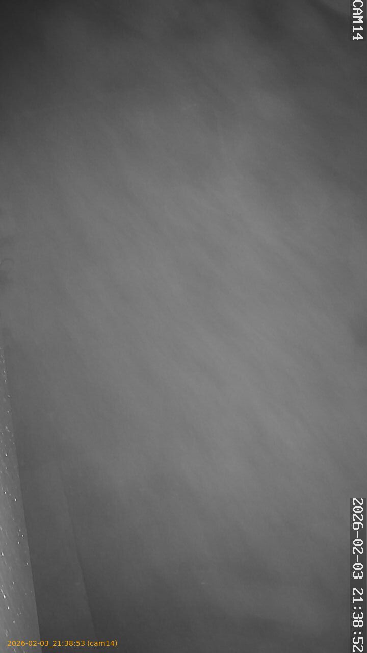 thumbnail_20260203213853