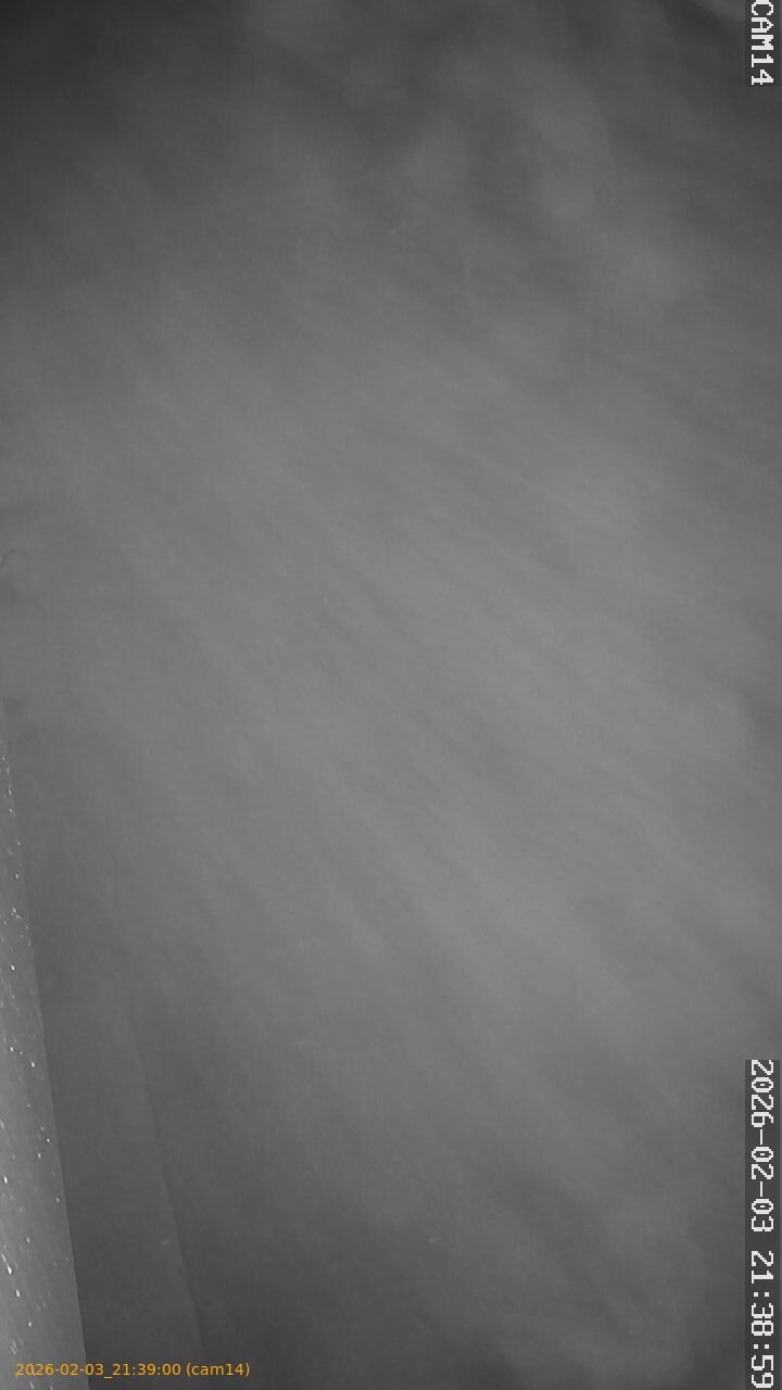 thumbnail_20260203213900