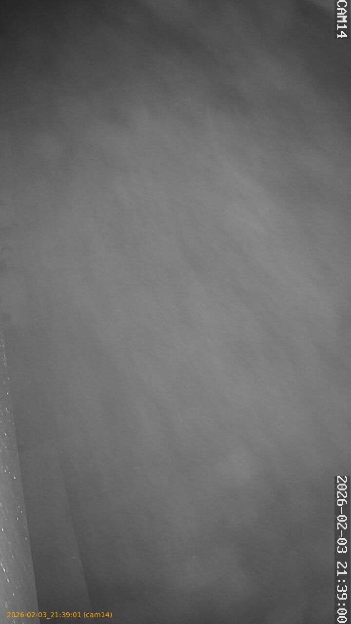 thumbnail_20260203213901