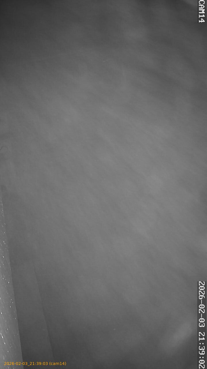 thumbnail_20260203213903