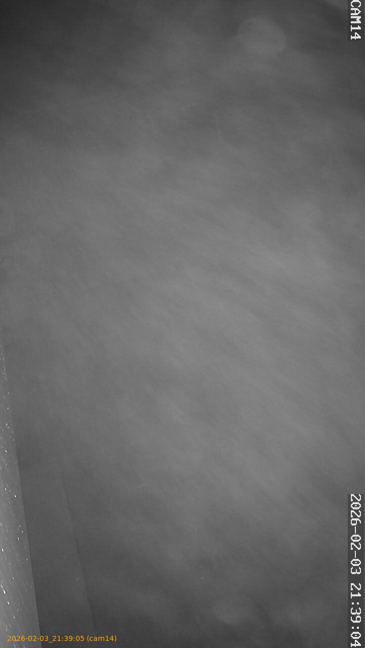 thumbnail_20260203213905