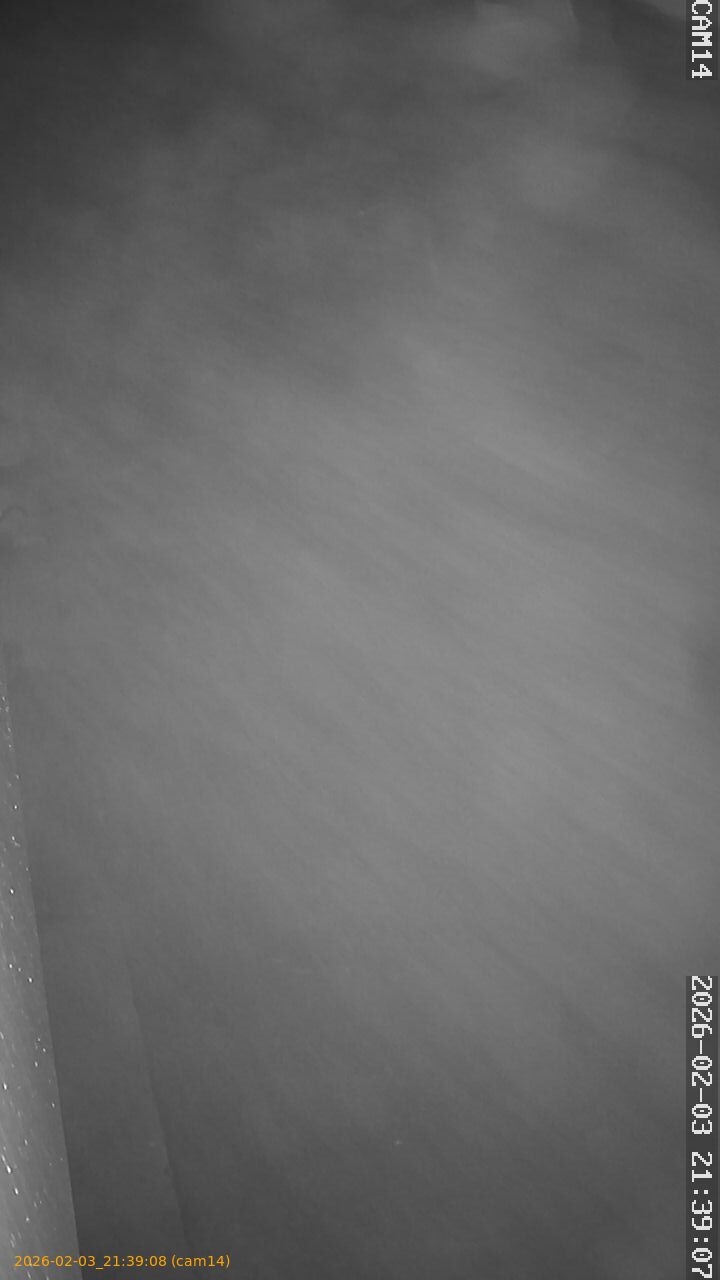 thumbnail_20260203213908