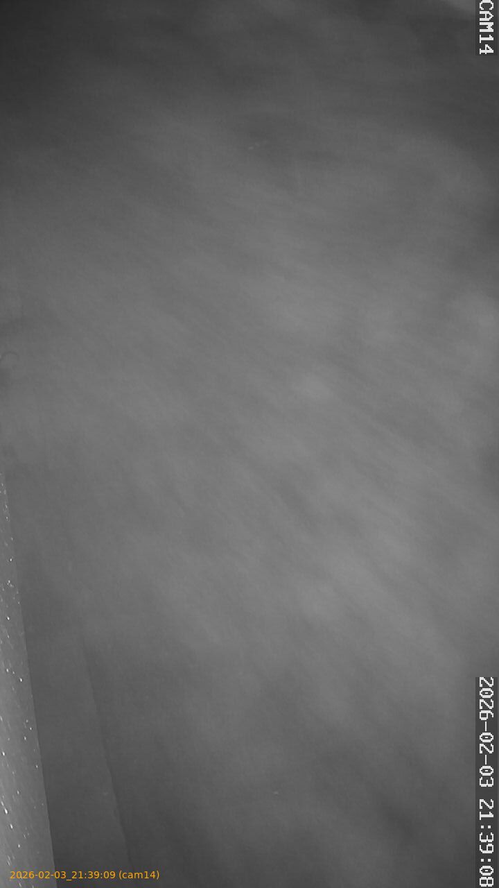 thumbnail_20260203213909