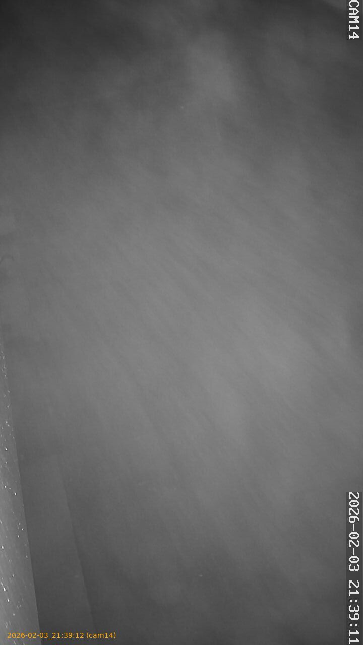 thumbnail_20260203213912