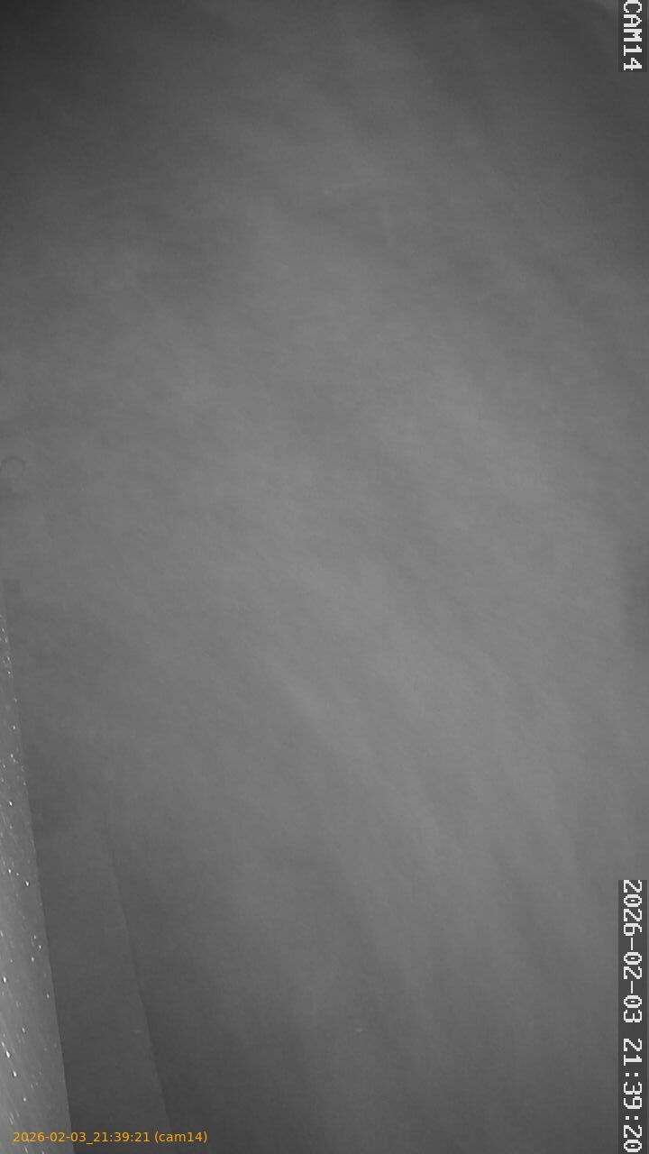 thumbnail_20260203213921