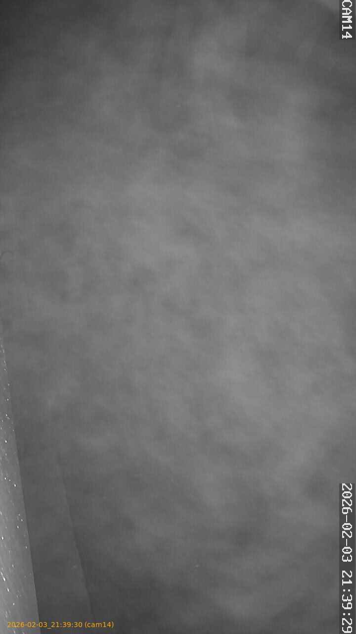 thumbnail_20260203213930