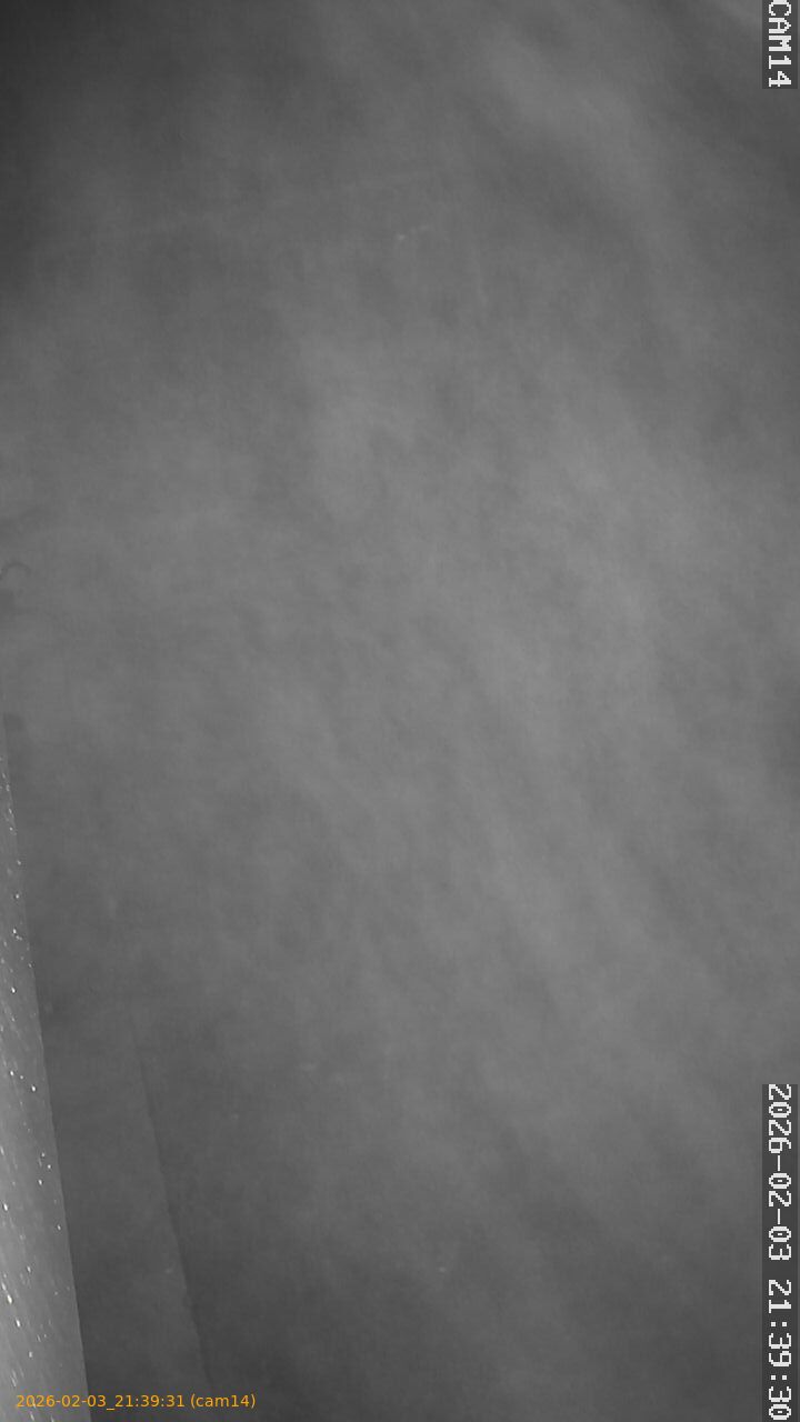 thumbnail_20260203213931