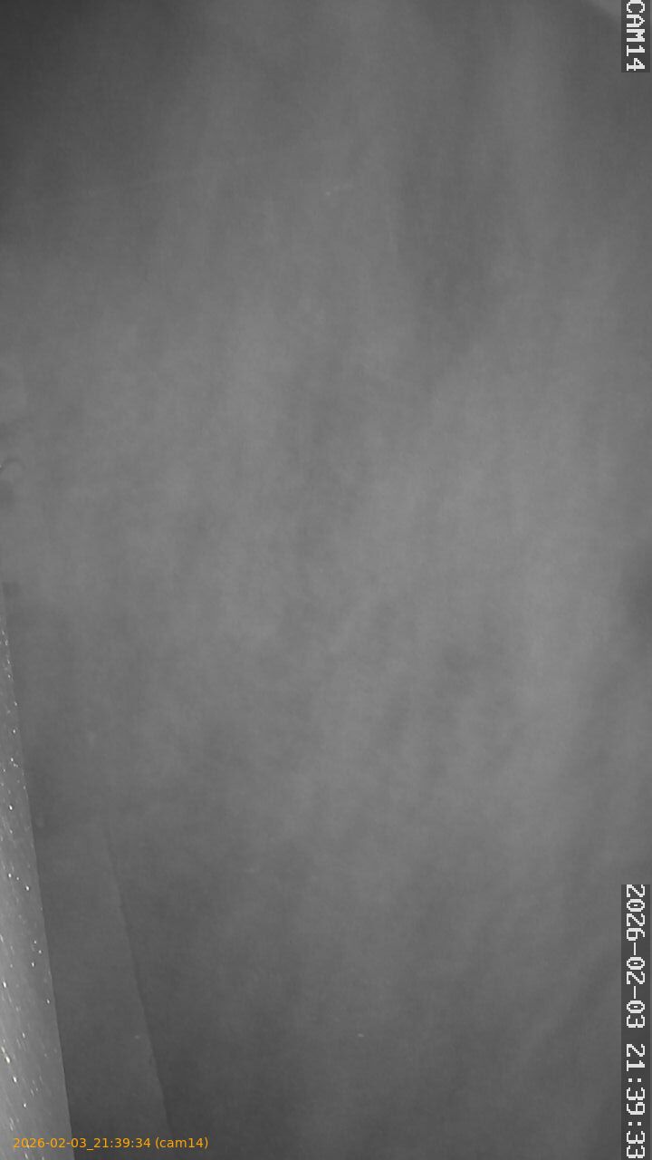 thumbnail_20260203213934