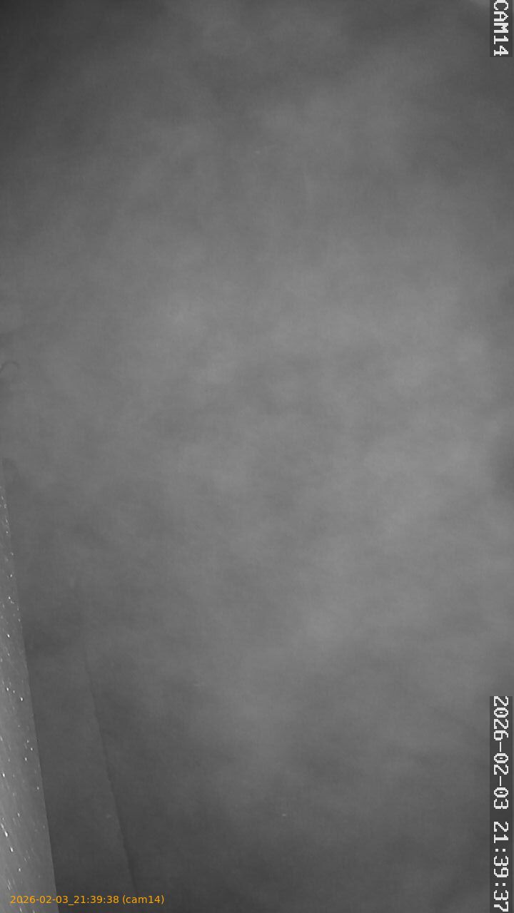 thumbnail_20260203213938