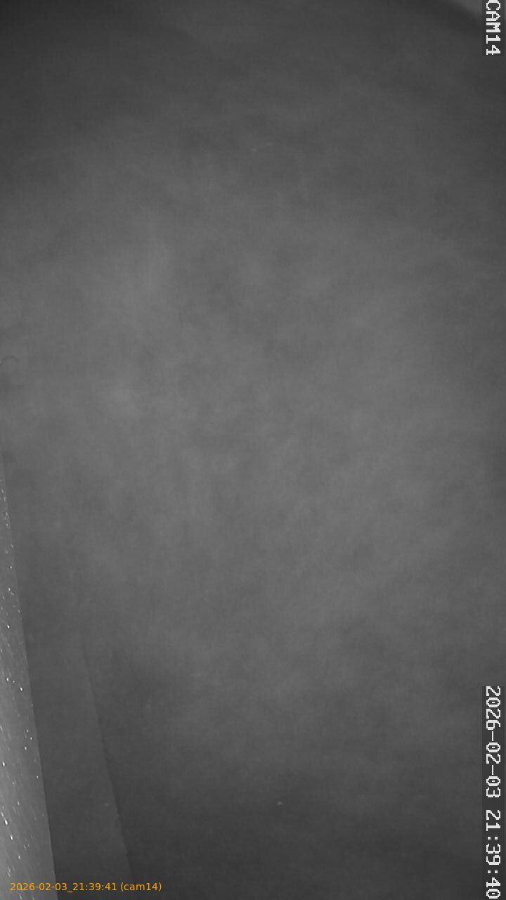 thumbnail_20260203213941