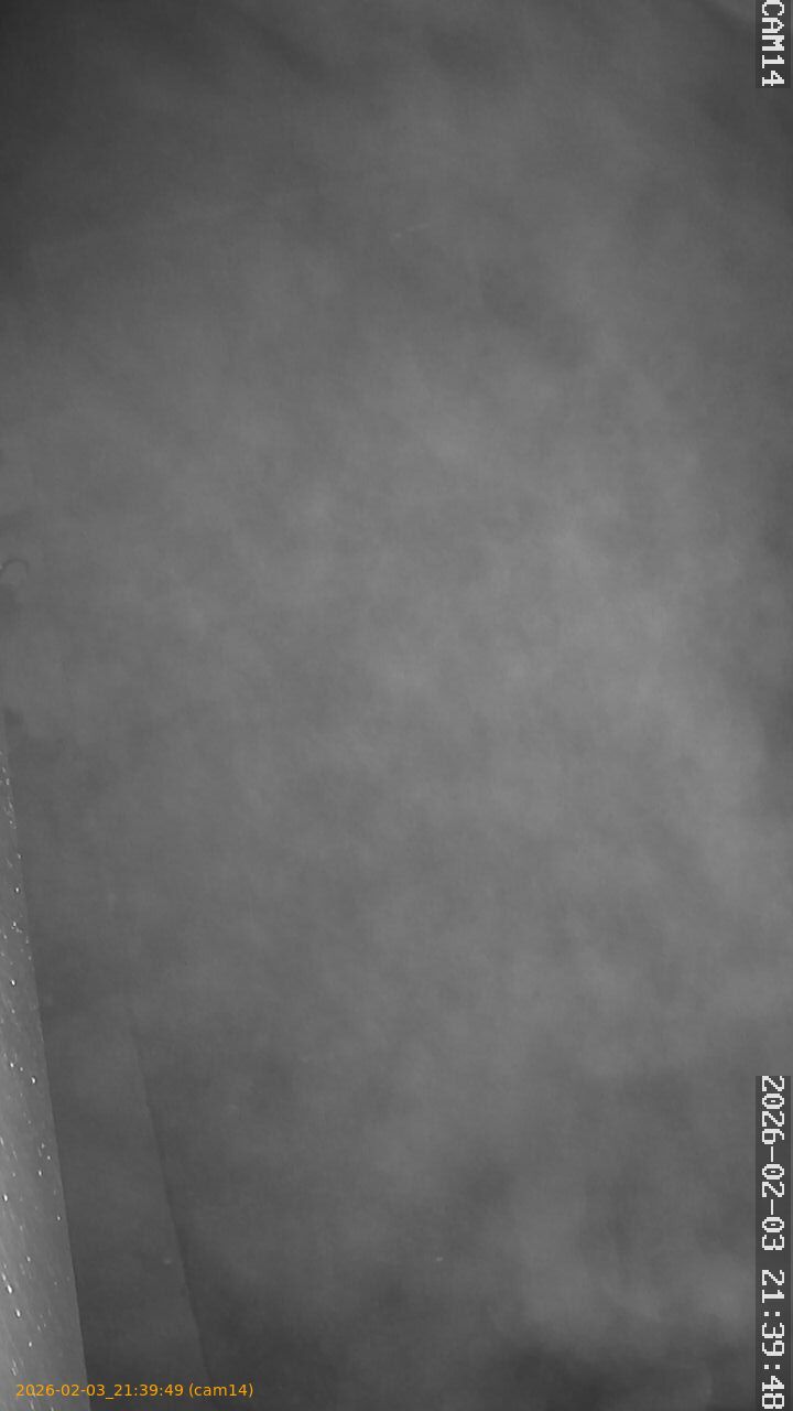 thumbnail_20260203213949