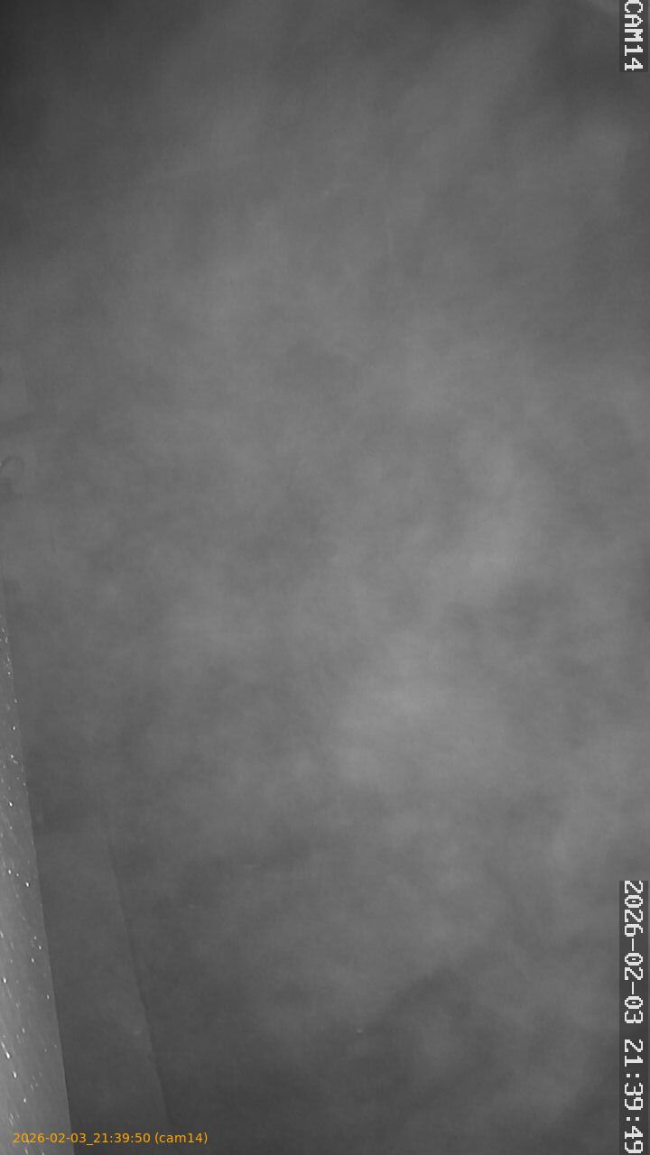 thumbnail_20260203213950