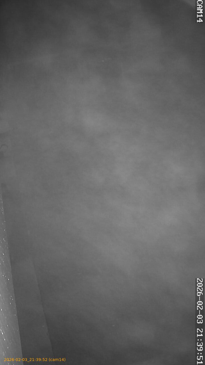 thumbnail_20260203213952