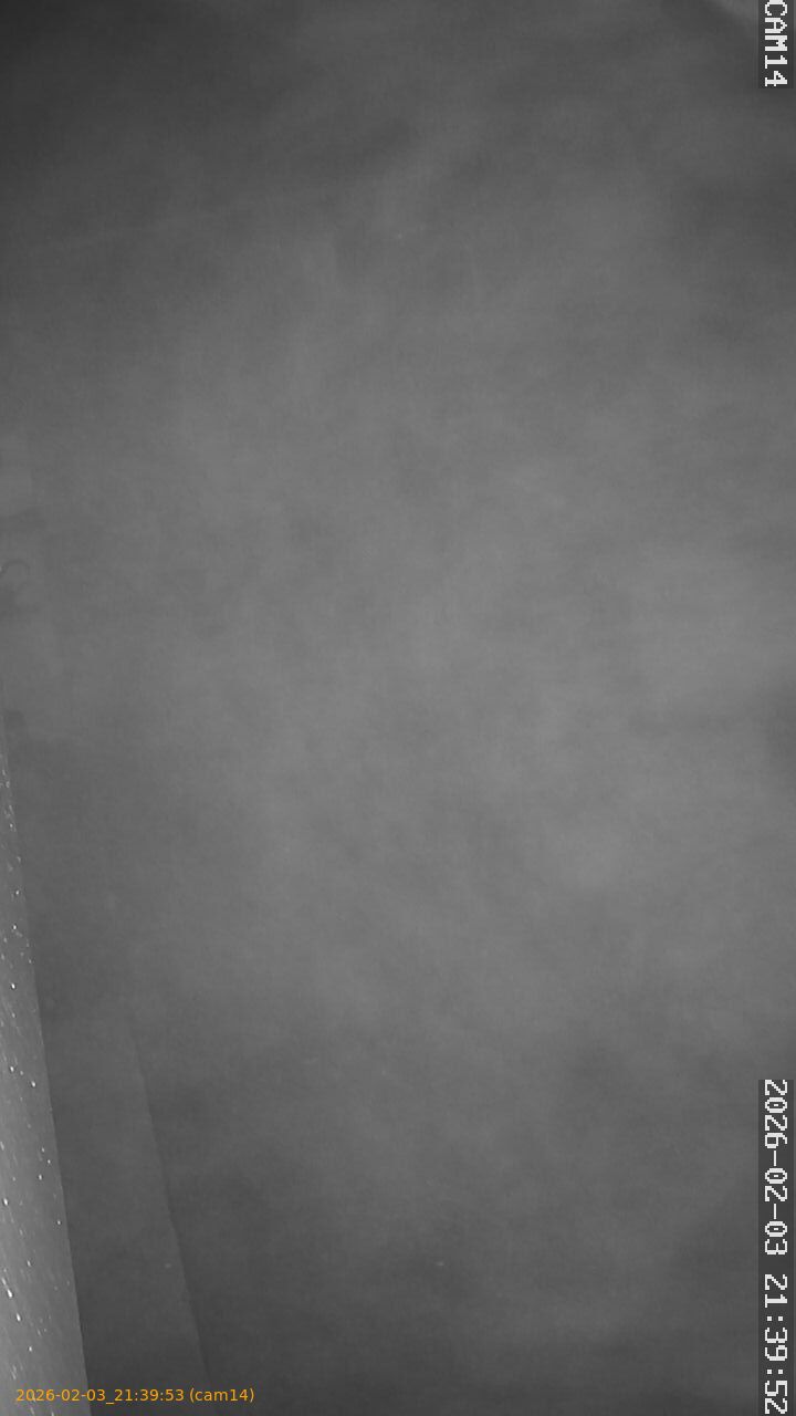 thumbnail_20260203213953