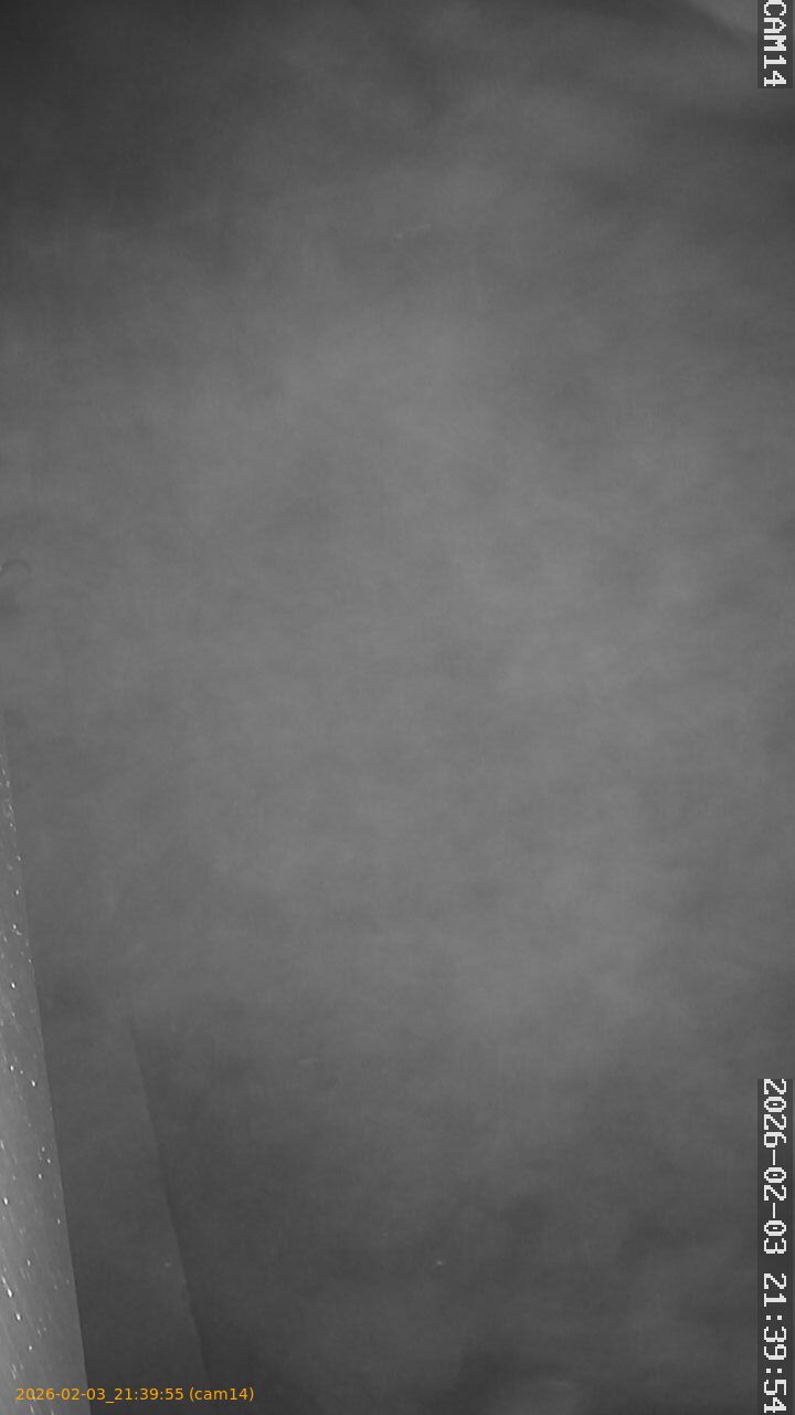 thumbnail_20260203213955