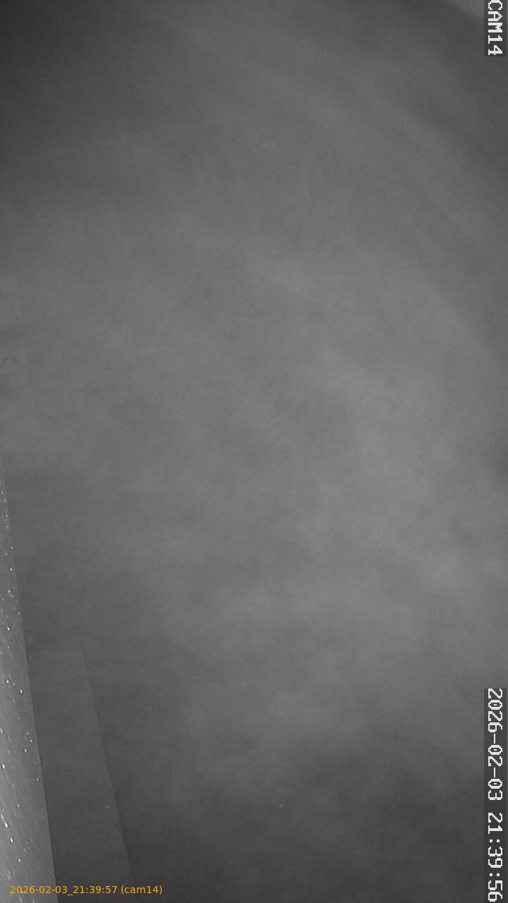 thumbnail_20260203213957