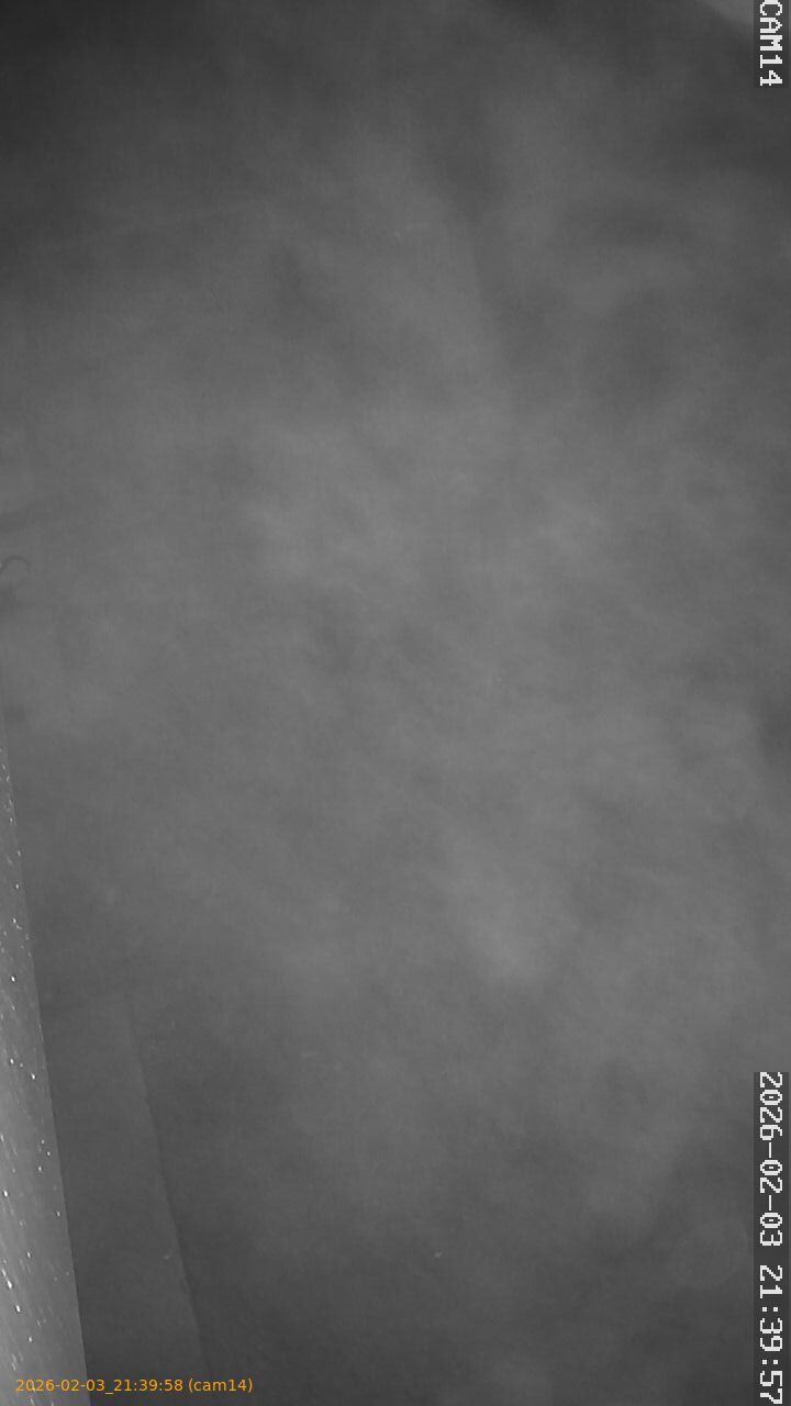 thumbnail_20260203213958