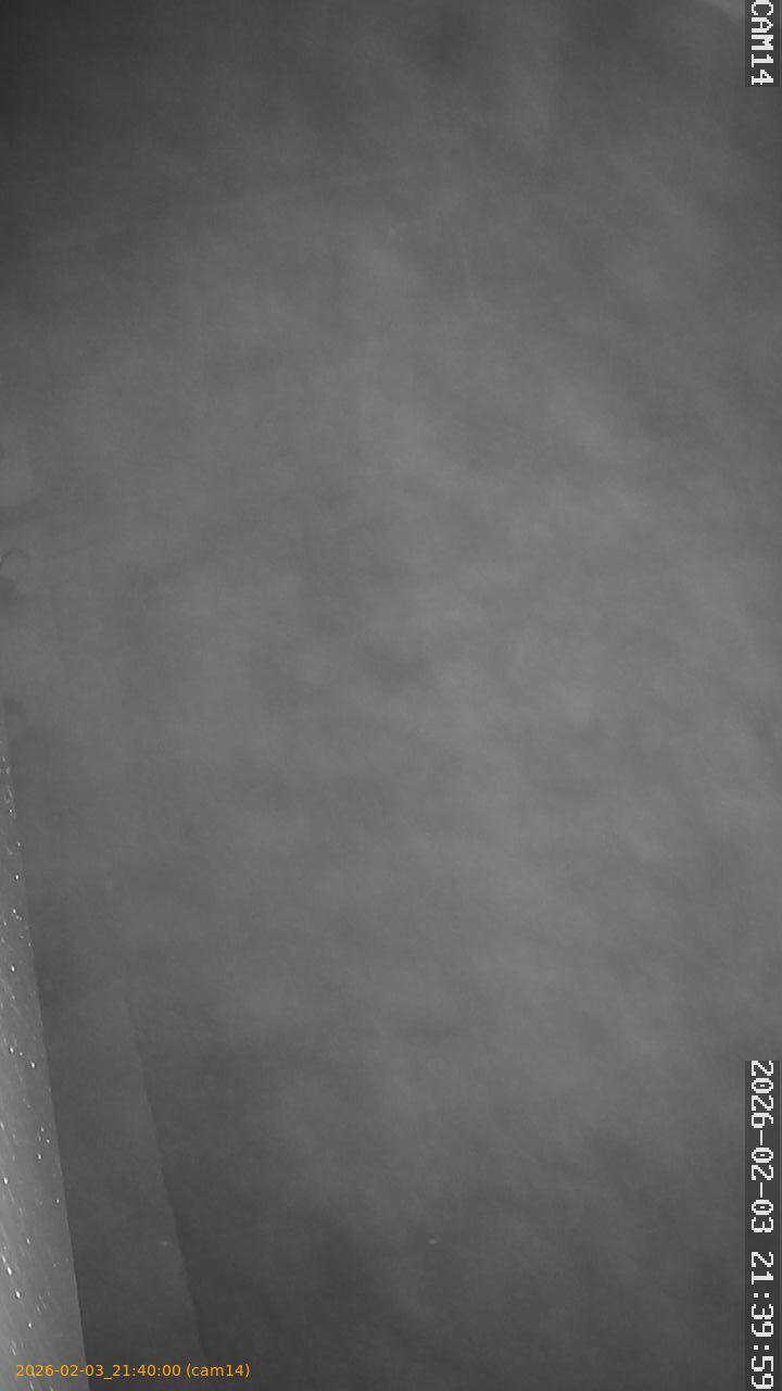 thumbnail_20260203214000