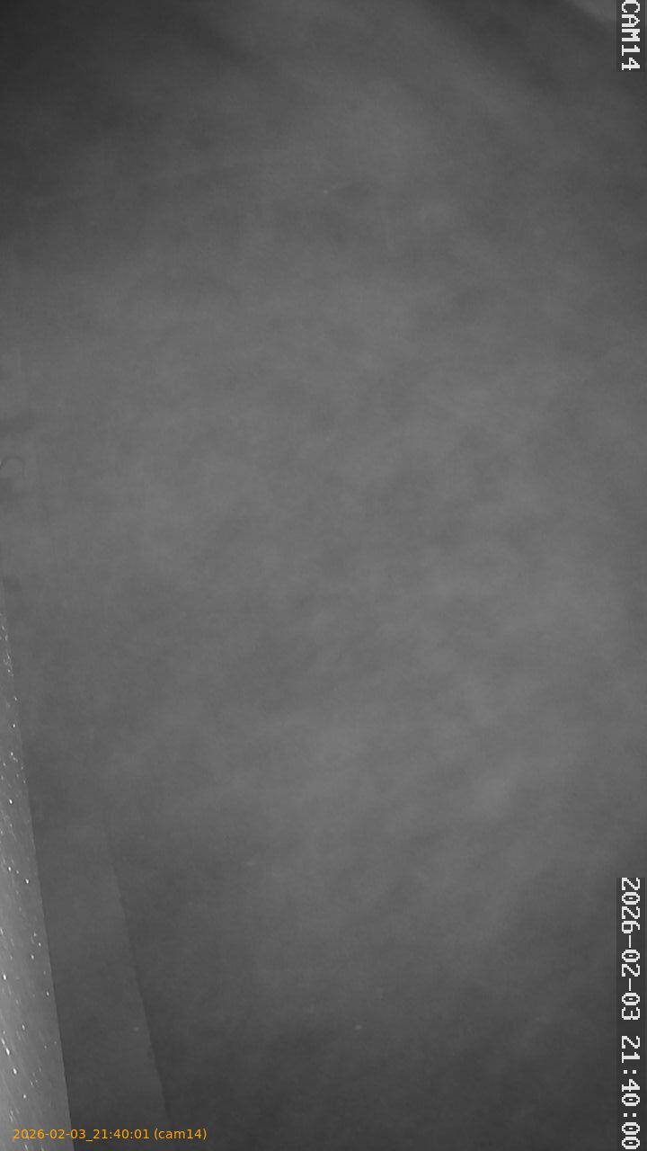 thumbnail_20260203214001