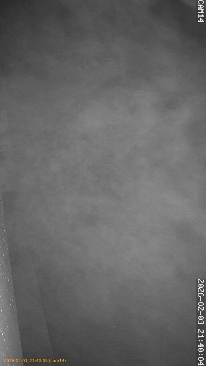 thumbnail_20260203214005