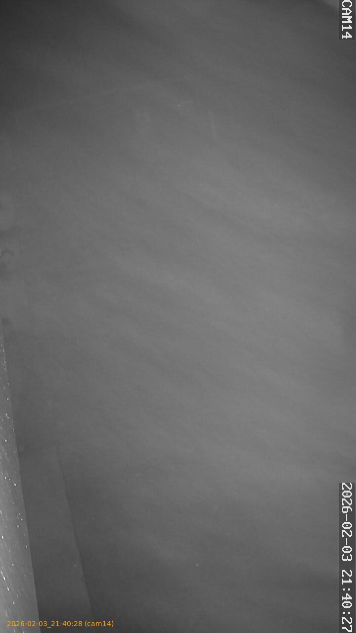 thumbnail_20260203214028