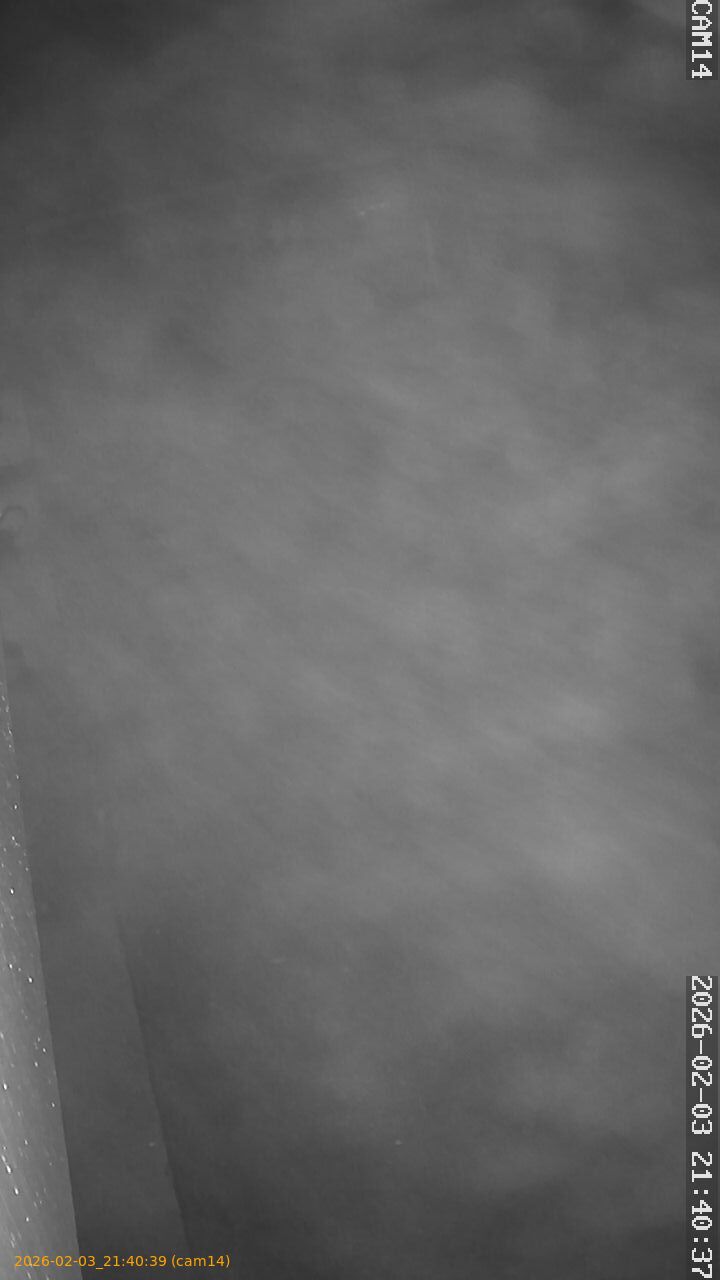 thumbnail_20260203214038