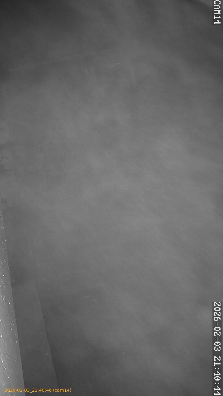 thumbnail_20260203214045