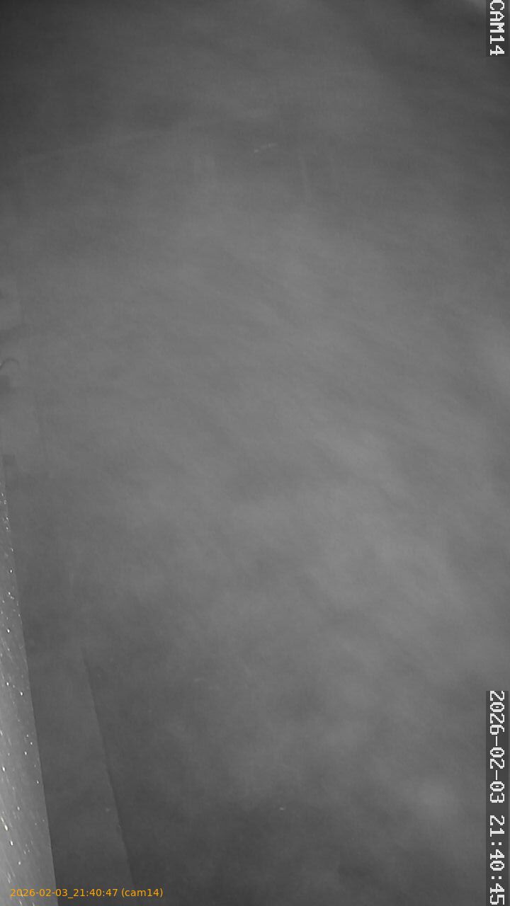 thumbnail_20260203214047