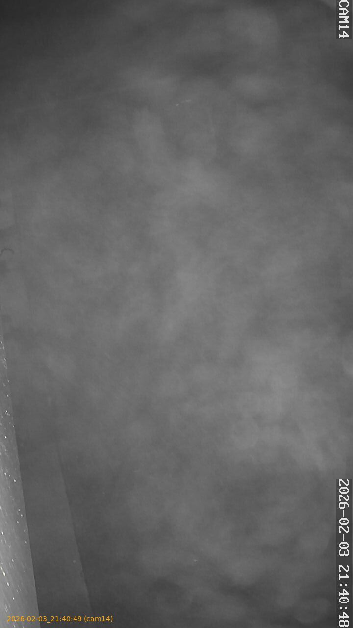 thumbnail_20260203214049