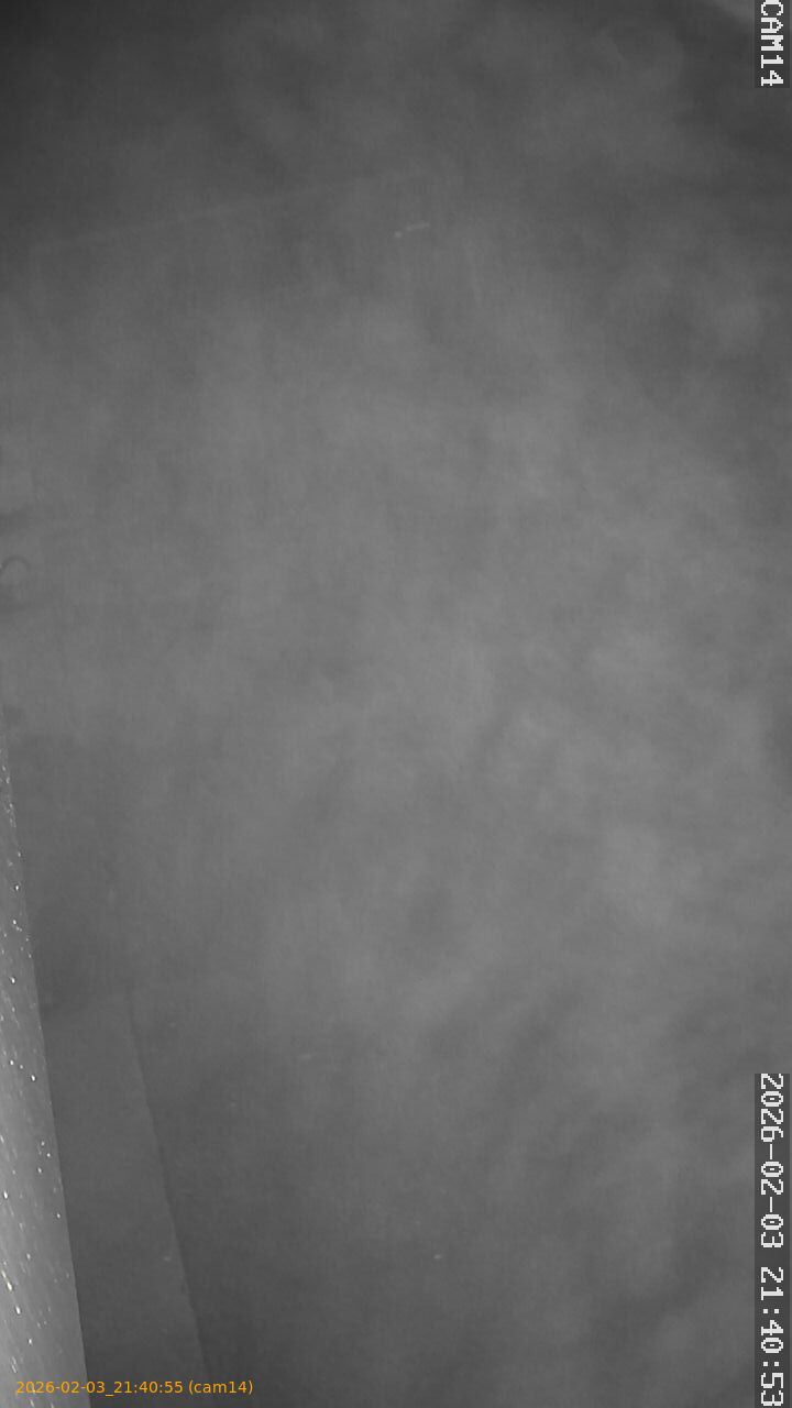 thumbnail_20260203214055