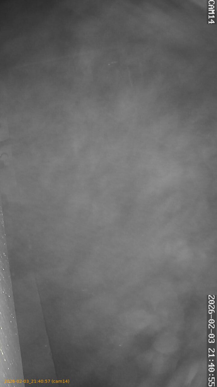 thumbnail_20260203214057