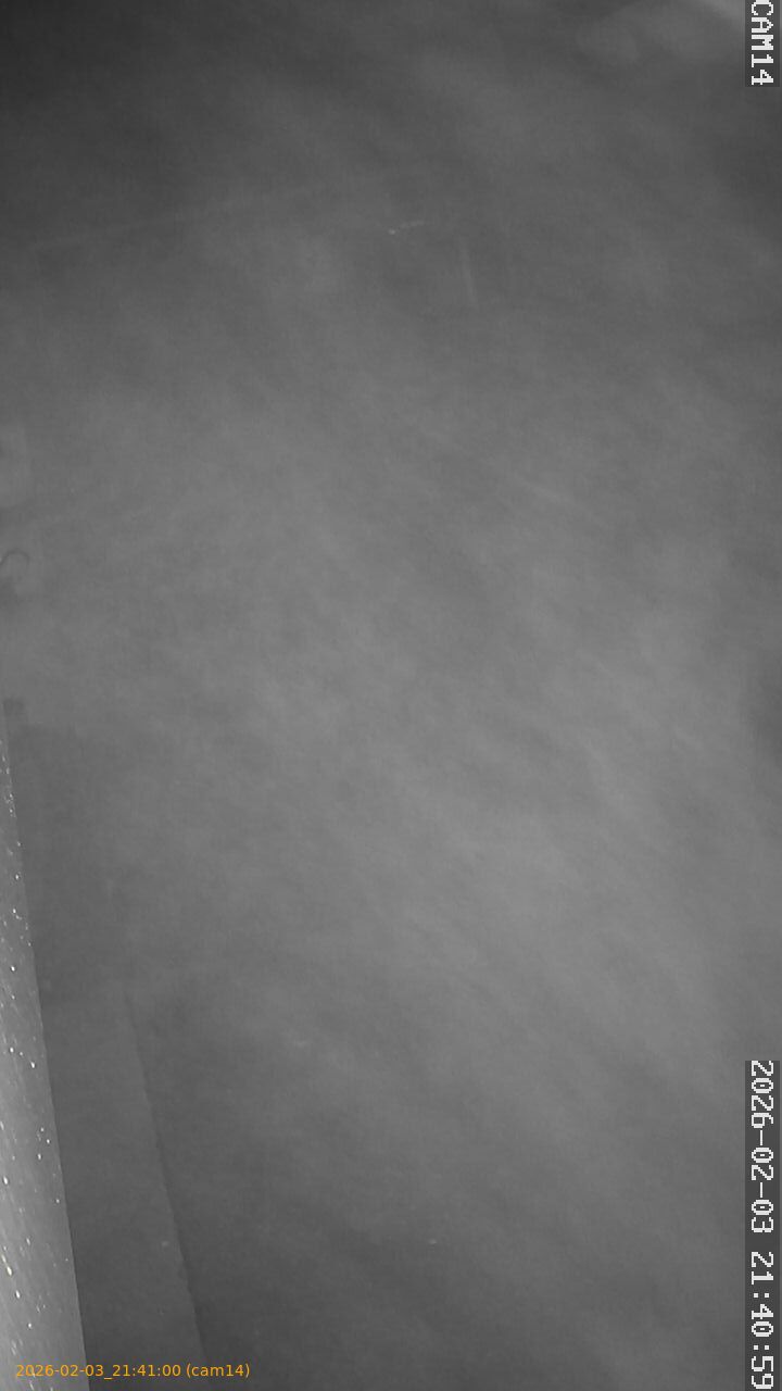 thumbnail_20260203214100