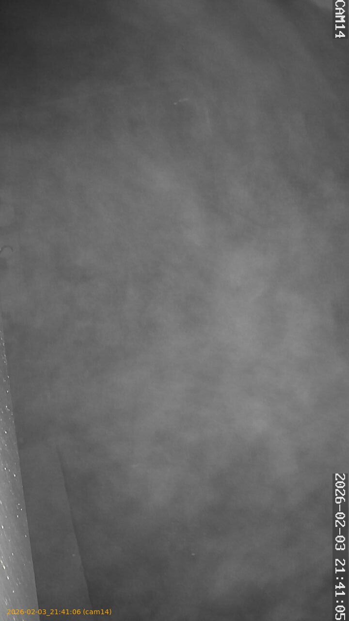 thumbnail_20260203214106