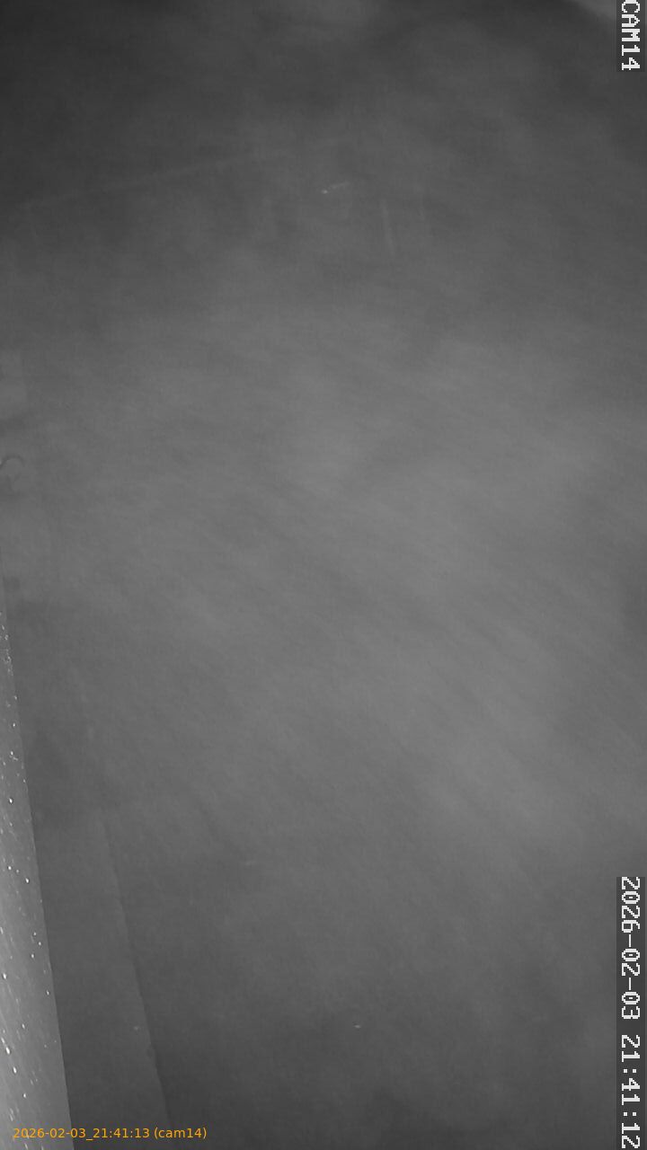 thumbnail_20260203214113