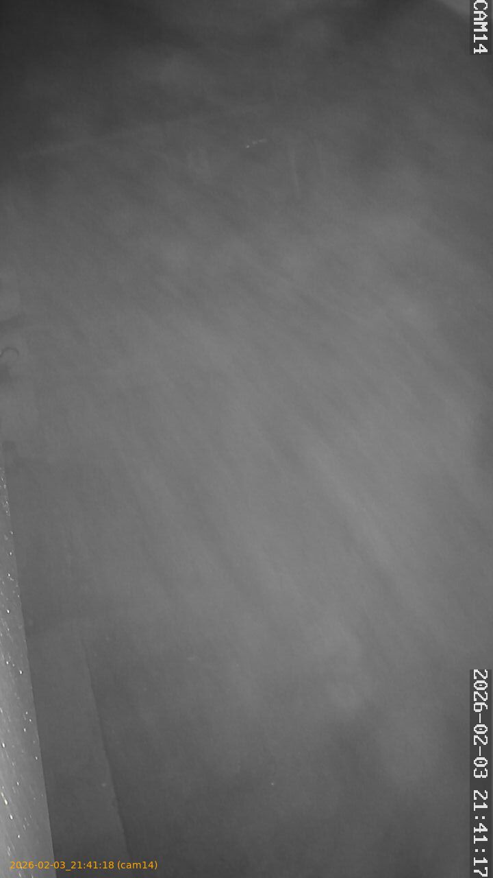 thumbnail_20260203214118